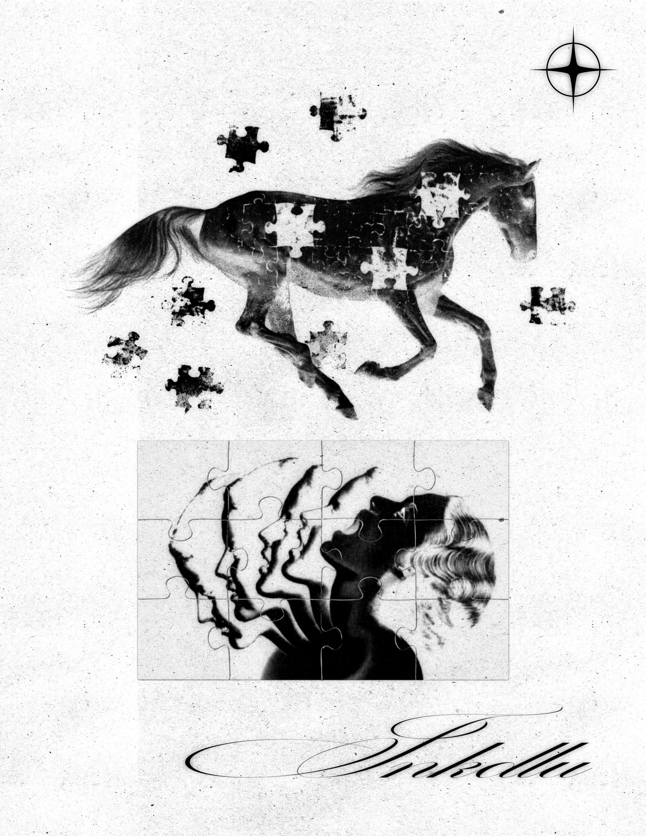 SPLIT flash sheet with a running horse and layered profiles fragmented by jigsaw pieces.