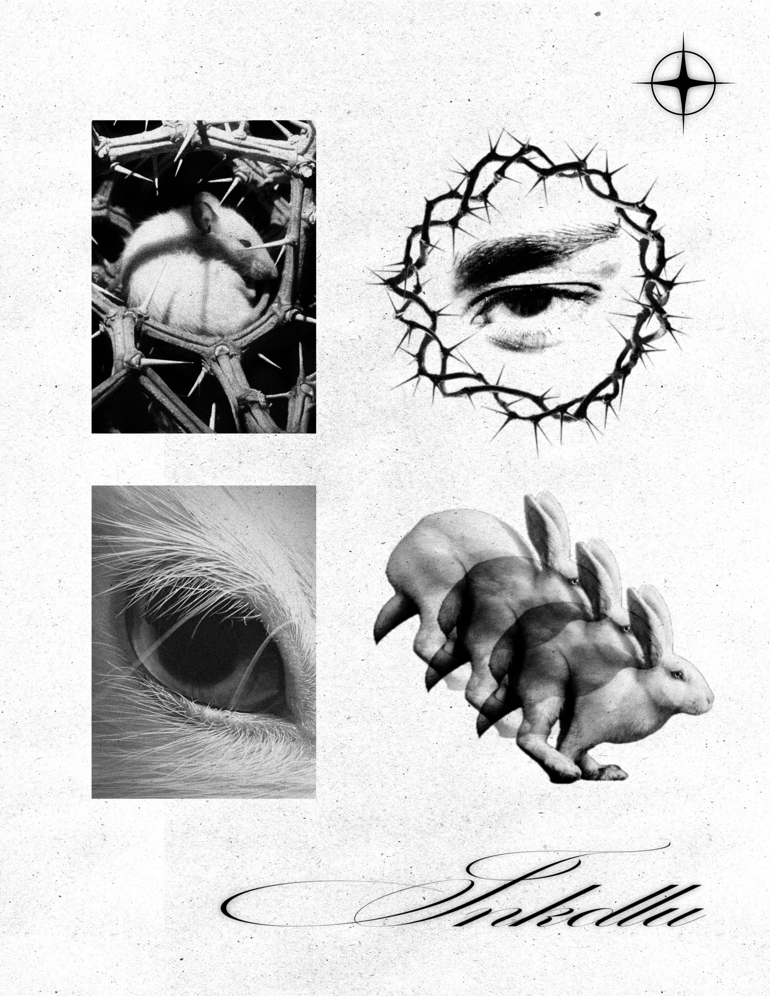 PREY flash sheet with a rabbit among thorns, eye close-ups, and three overlapping running rabbits.