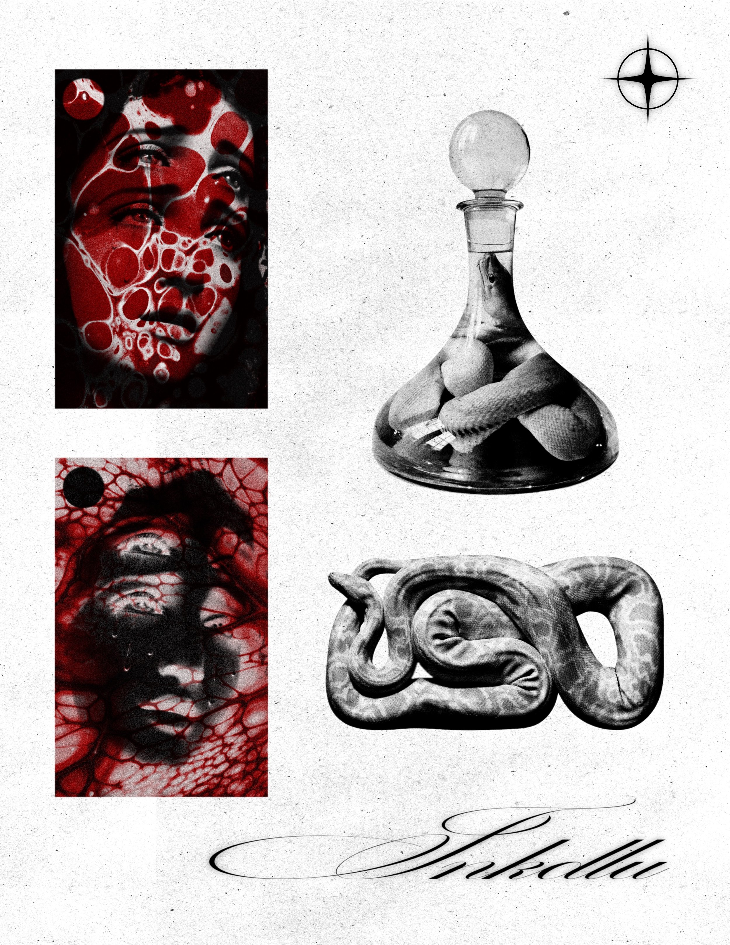 VESSEL flash sheet with red layered portraits, a snake inside a glass bottle, and a folded serpentine form.