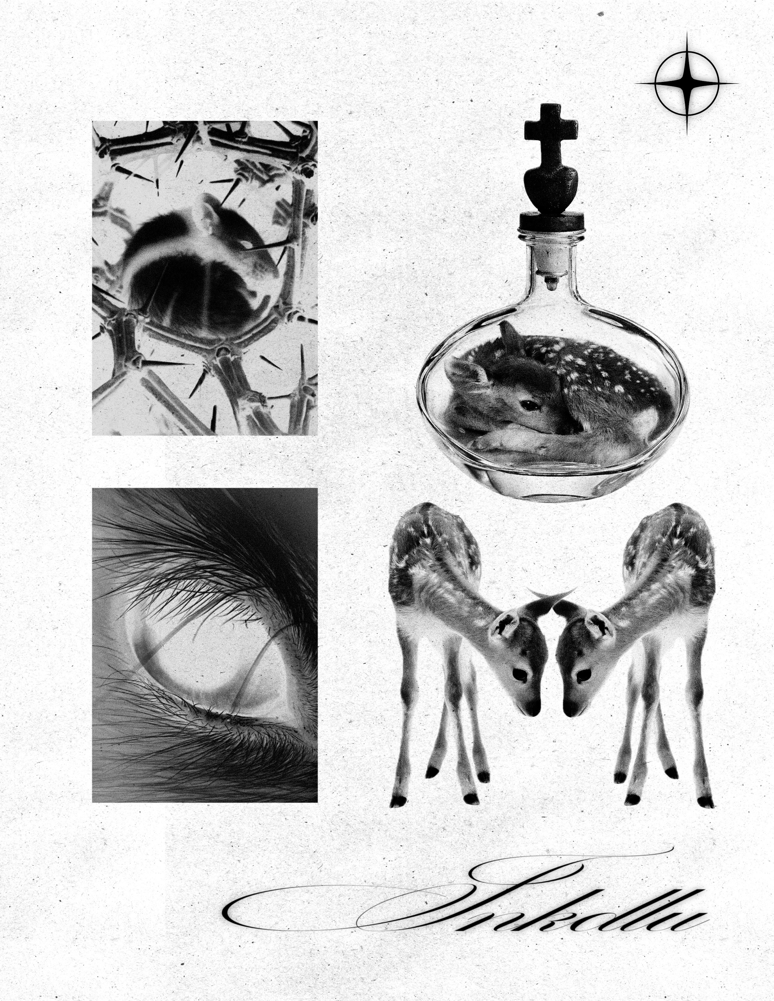 PREY flash sheet with an inverted rabbit portrait, an eye, a fawn inside a glass bottle, and paired fawns.