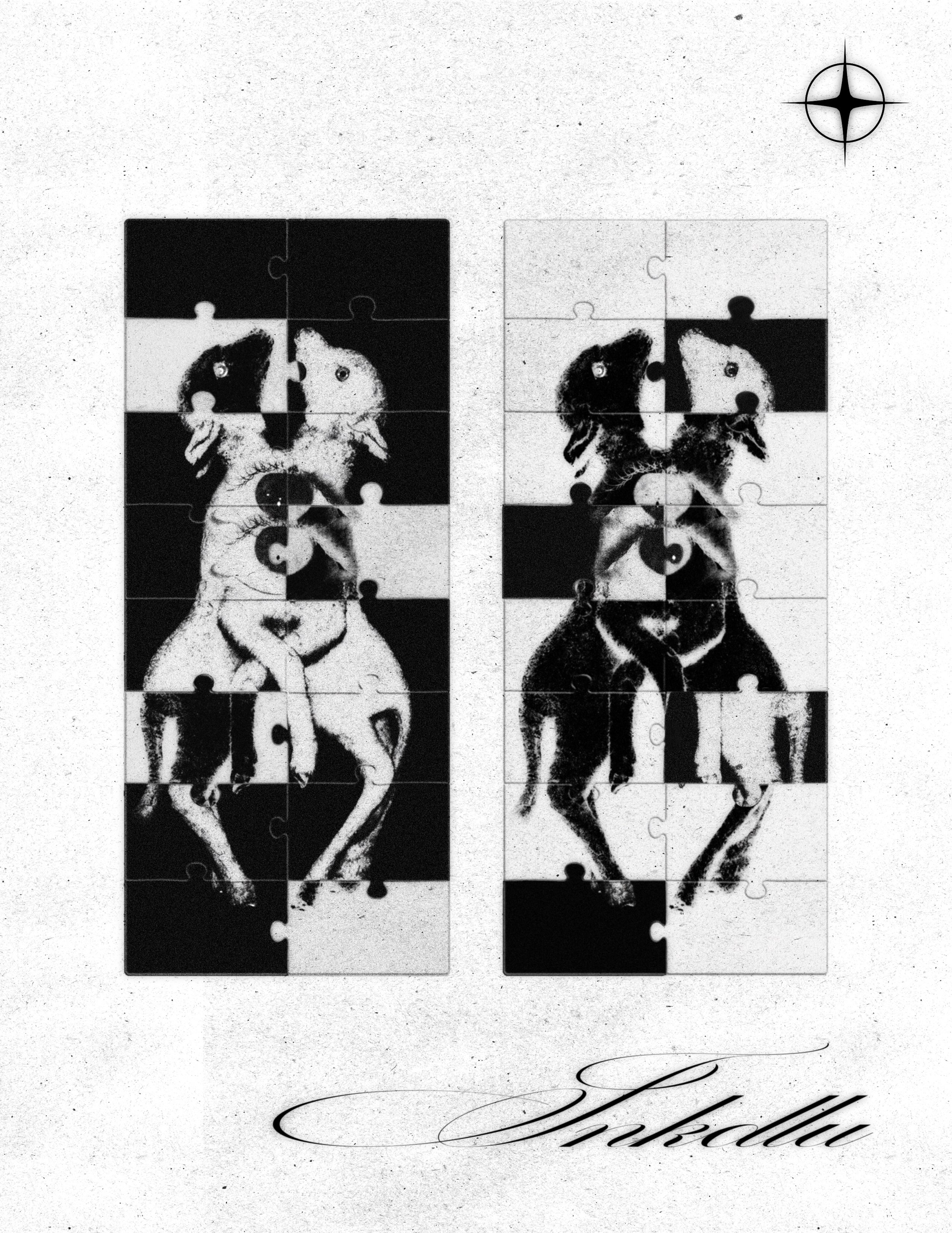 SPLIT flash sheet with two mirrored animal collages, central eyes, and alternating jigsaw panels.