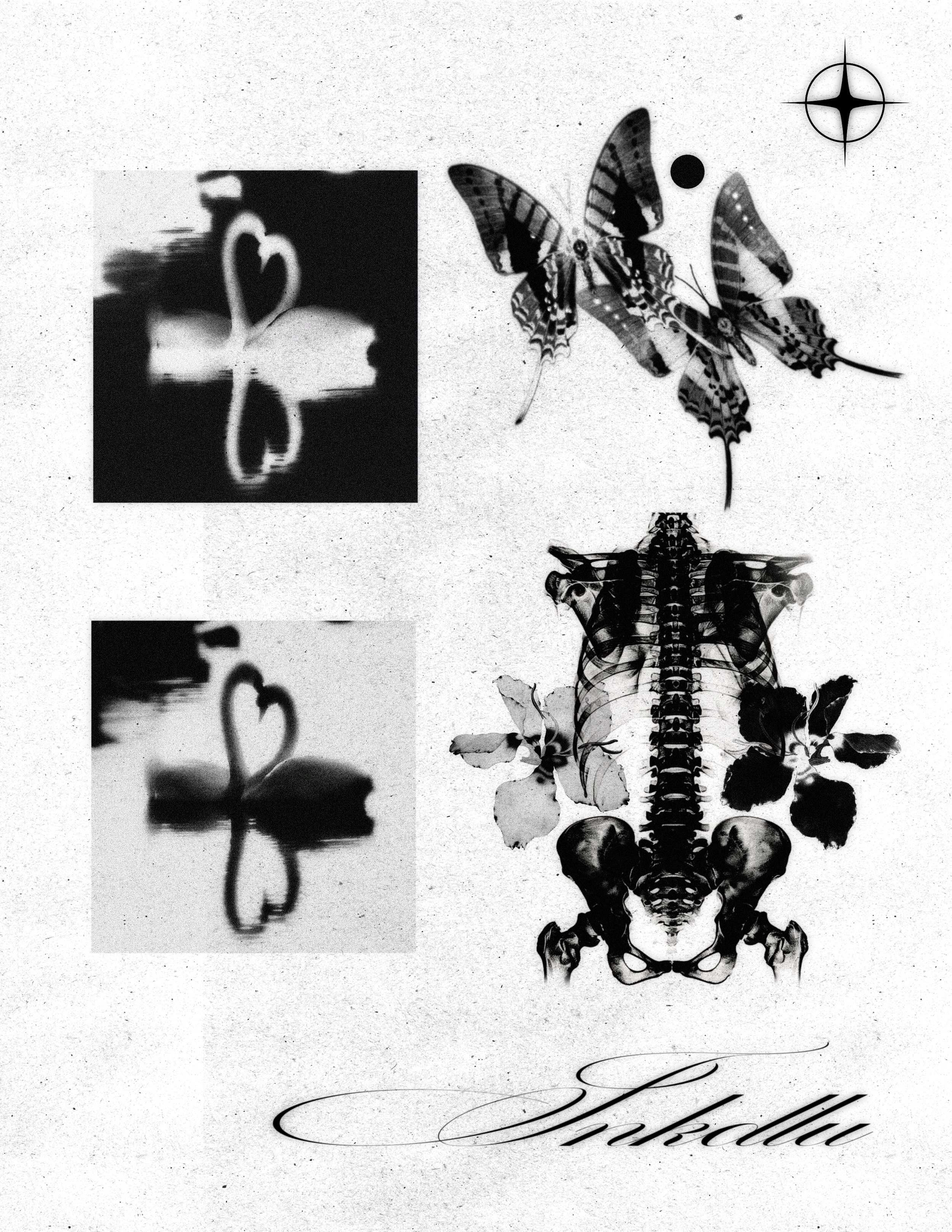 REQUIEM flash sheet with blurred bird silhouettes, butterflies, and a flower-framed rib cage and spine.