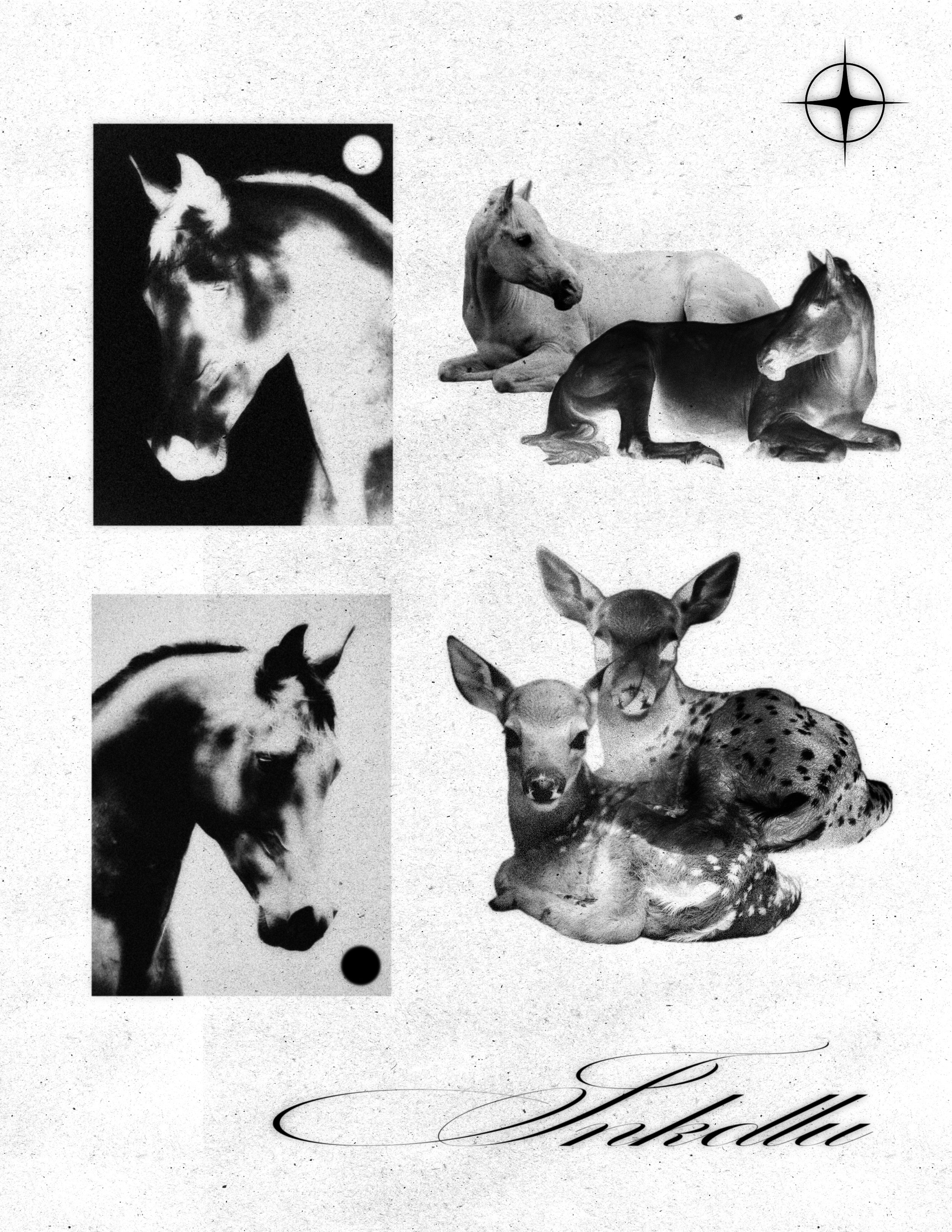 REQUIEM flash sheet with horse-head portraits, reclining horses, and paired resting fawns.